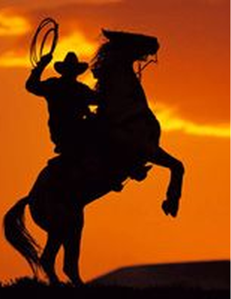 Thomas Lynch Profile Photo