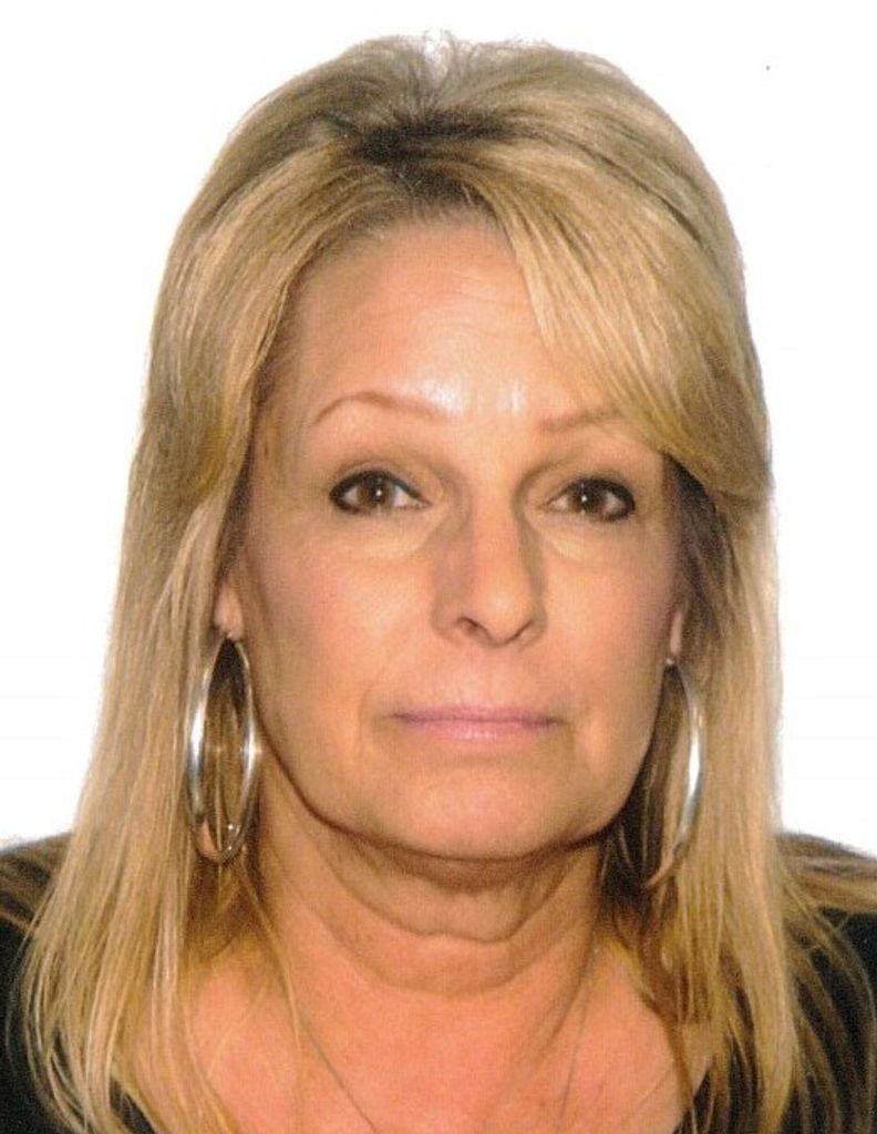 Cheryl Ann (Hieke)  Brink