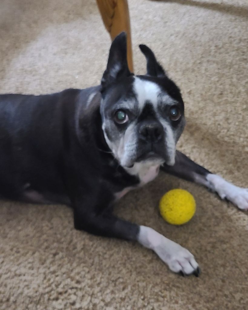 Sparkles Shubert Profile Photo