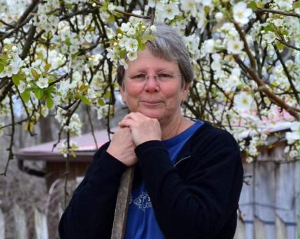 Lisa Petersen Cummings Profile Photo
