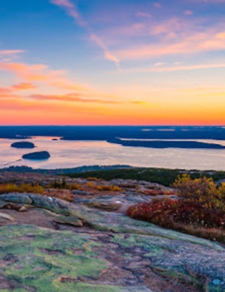 Sue Ann Jorgensen Profile Photo