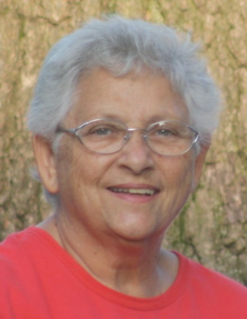 Patricia Lynn (Andrich)  Brice