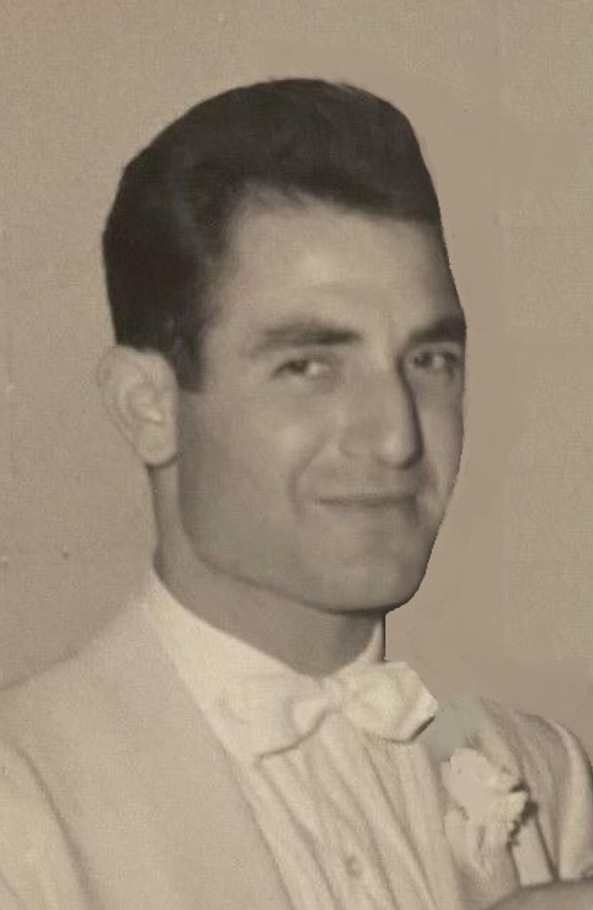 Nicola Zappitelli Profile Photo