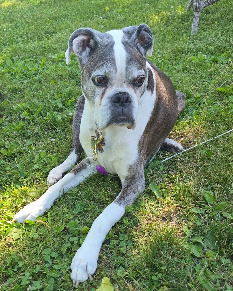 Honey Kotek Profile Photo