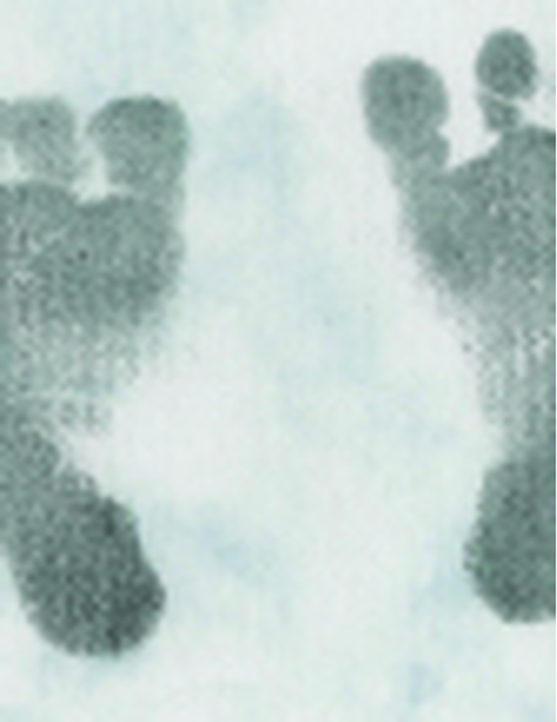 David Michael Lacy Profile Photo