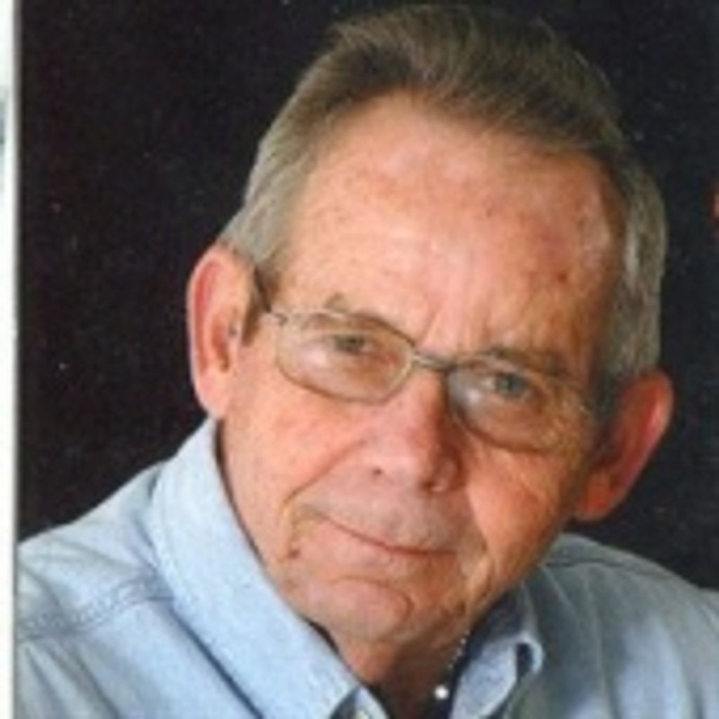 David Jackson Swallows