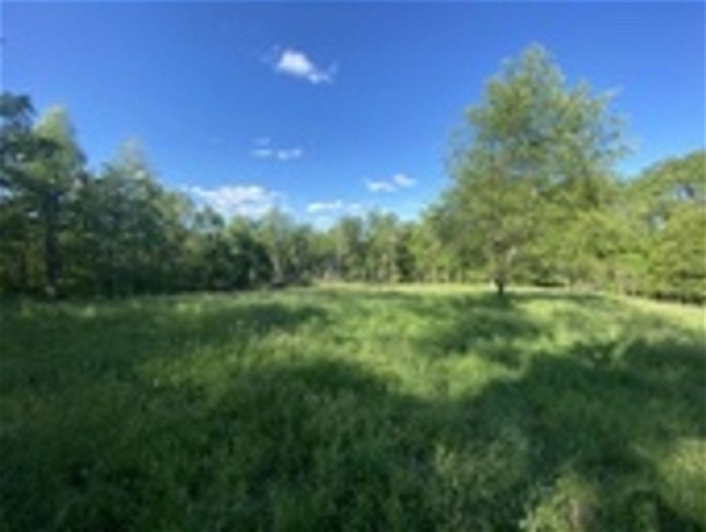 Joseph W. Dawson Profile Photo