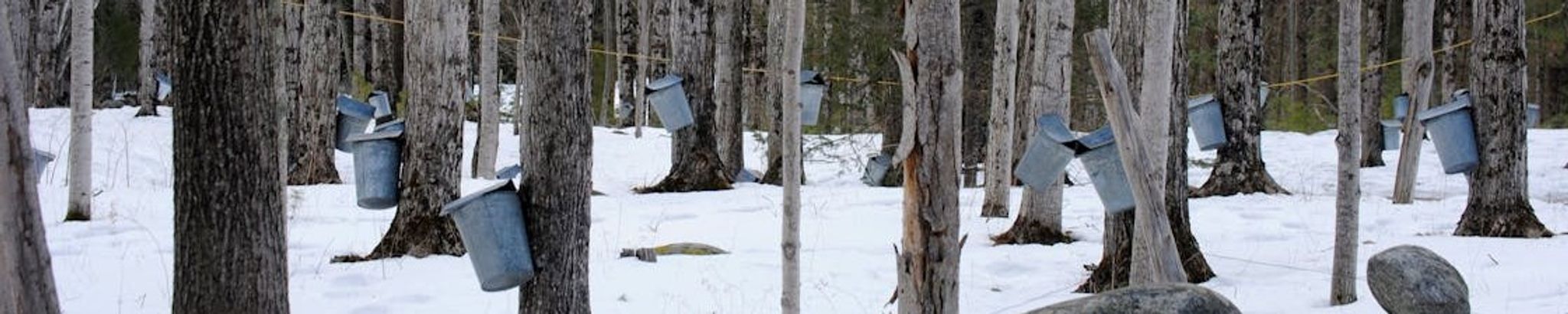 Cover for Roger Alvah Graves's Obituary