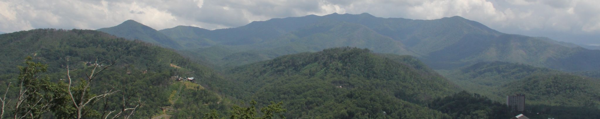 Cover photo for Steve E. Williams's Obituary