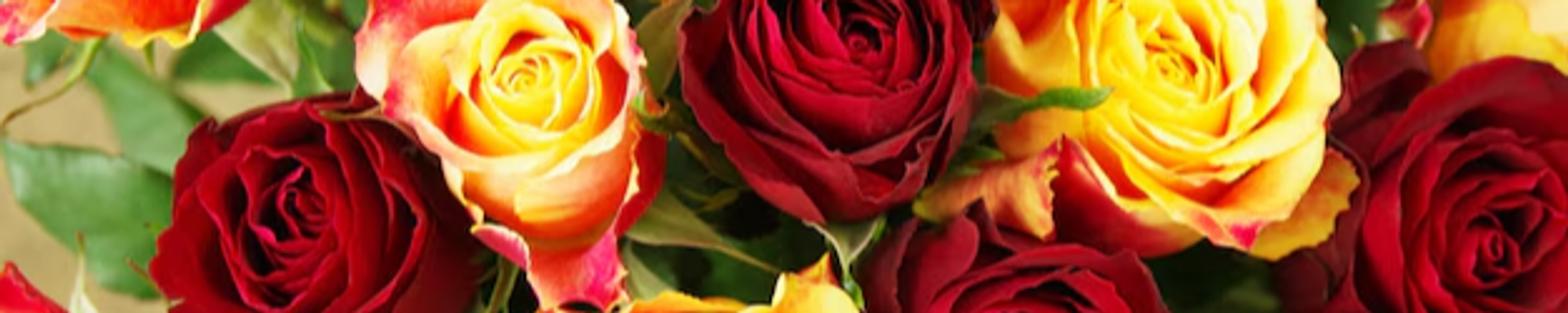 Cover for Markita Avant's Obituary