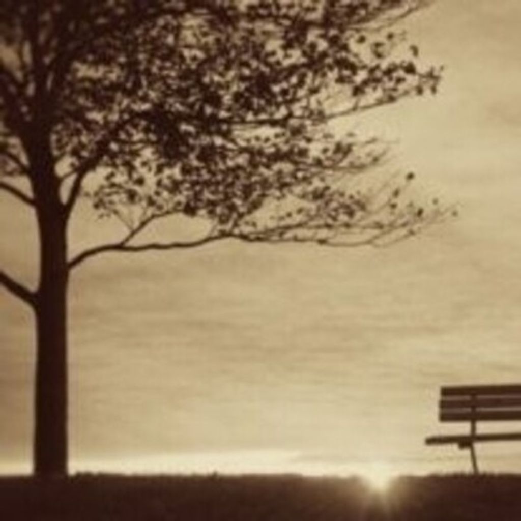 William "Bill" Telgen Profile Photo