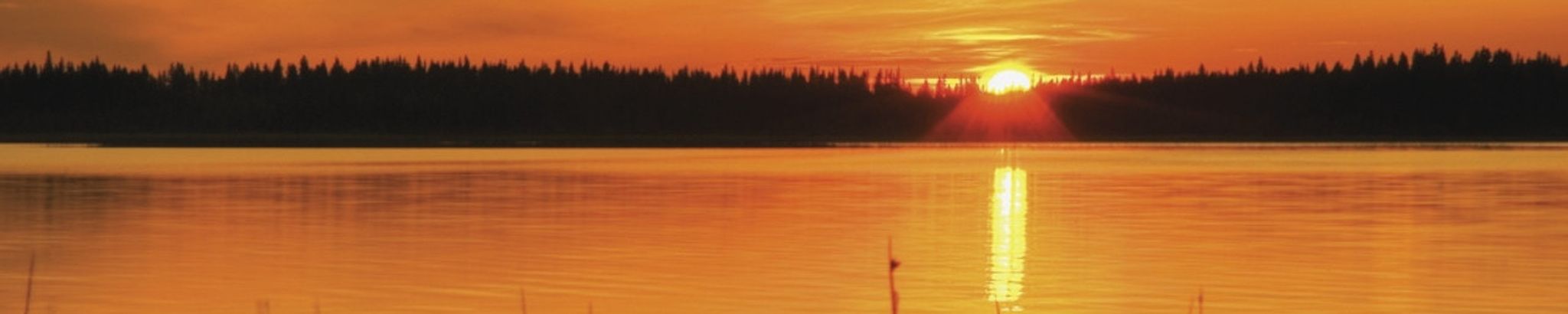 Cover for Katherine "Kathy" Sproxton's Obituary