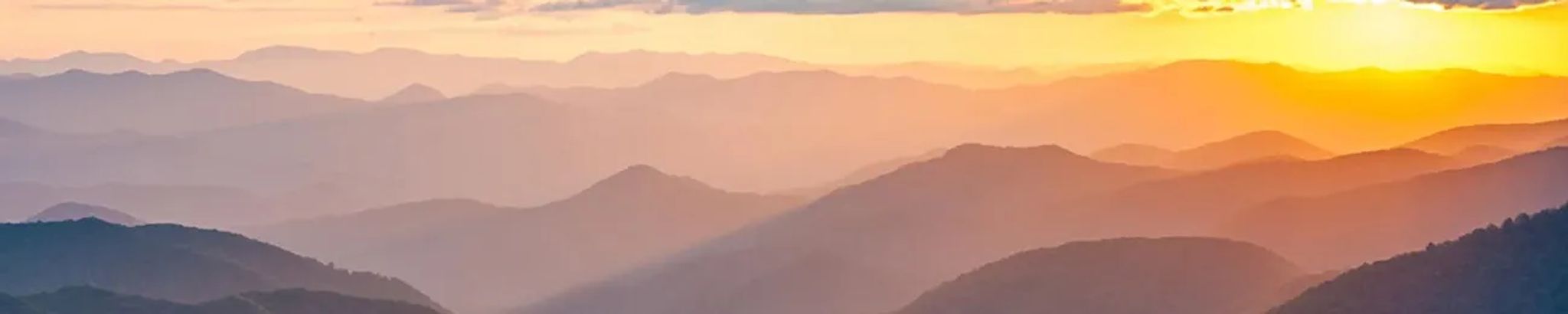 Cover for Betty St. Clair Robinson's Obituary