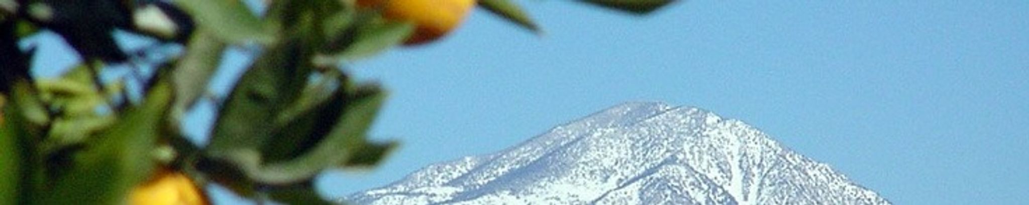 Cover photo for Tomas Roque's Obituary