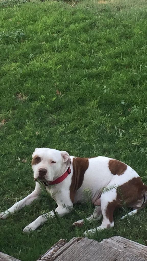 Sammy Profile Photo