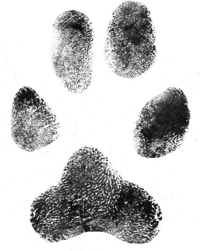 Finn Hataway Profile Photo