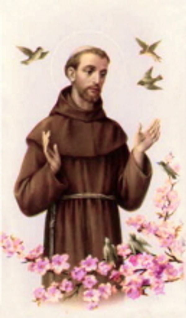 Eugene  Kip Tedeschi