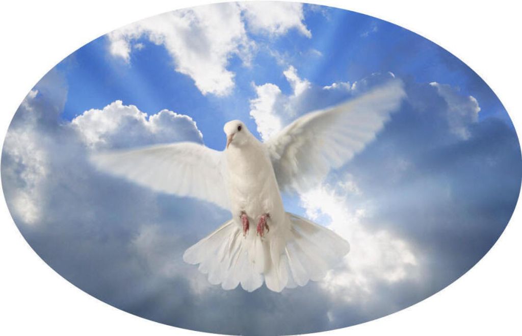 Michael Charles Gaston