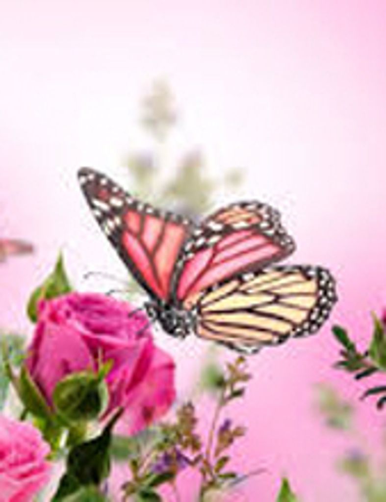 Lilliana Everleigh Rae Hillyer Profile Photo