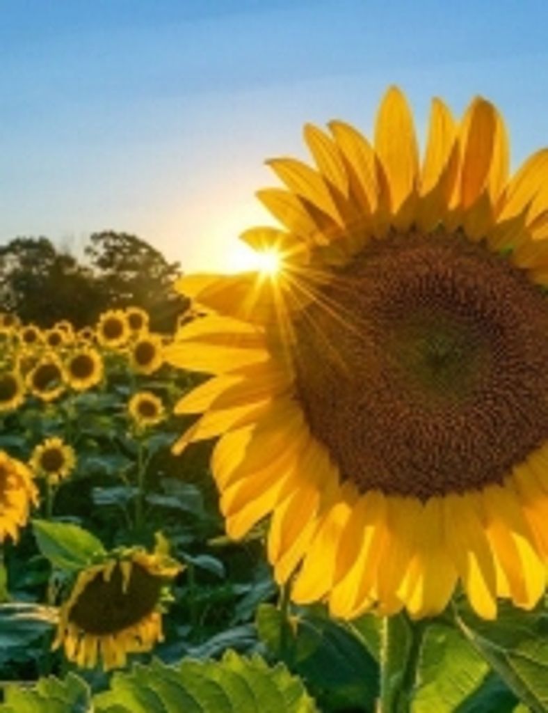 Pearlene Smith Brock