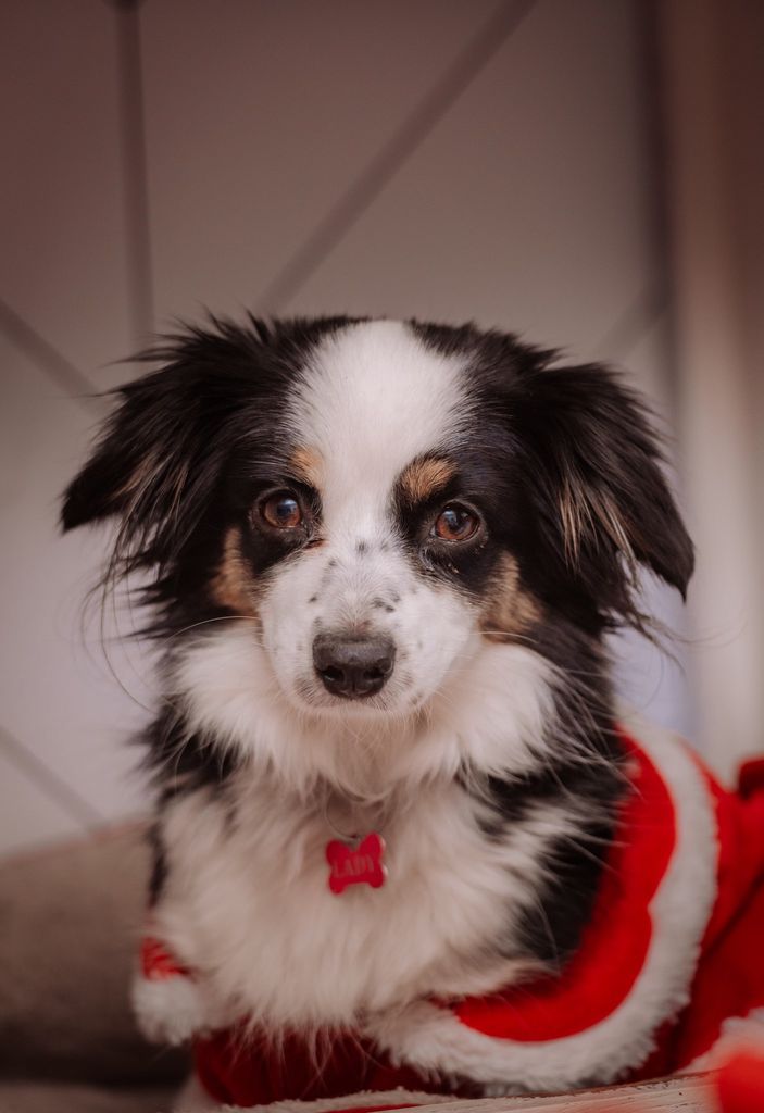 Lady Kathleen Profile Photo