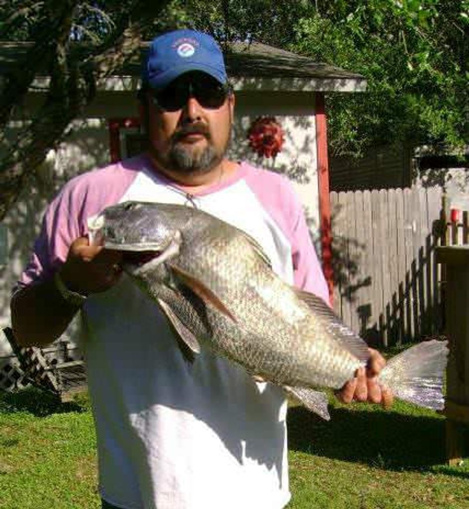 David Elizondo