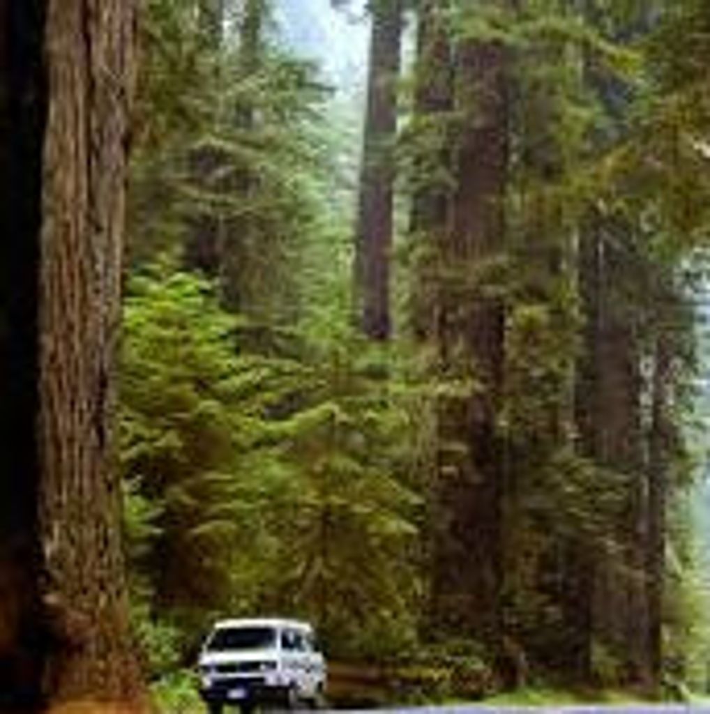 Robert S. Lane Profile Photo