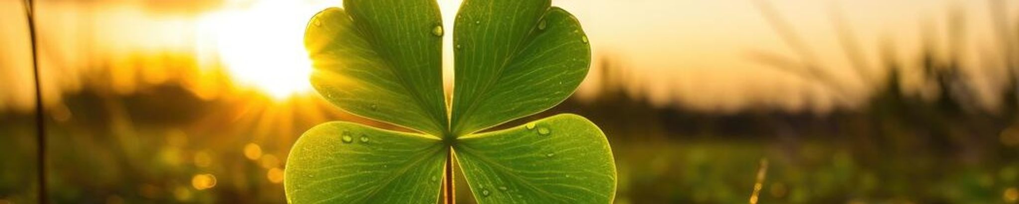 Cover for Donald "Pops" Charles Fernbach's Obituary