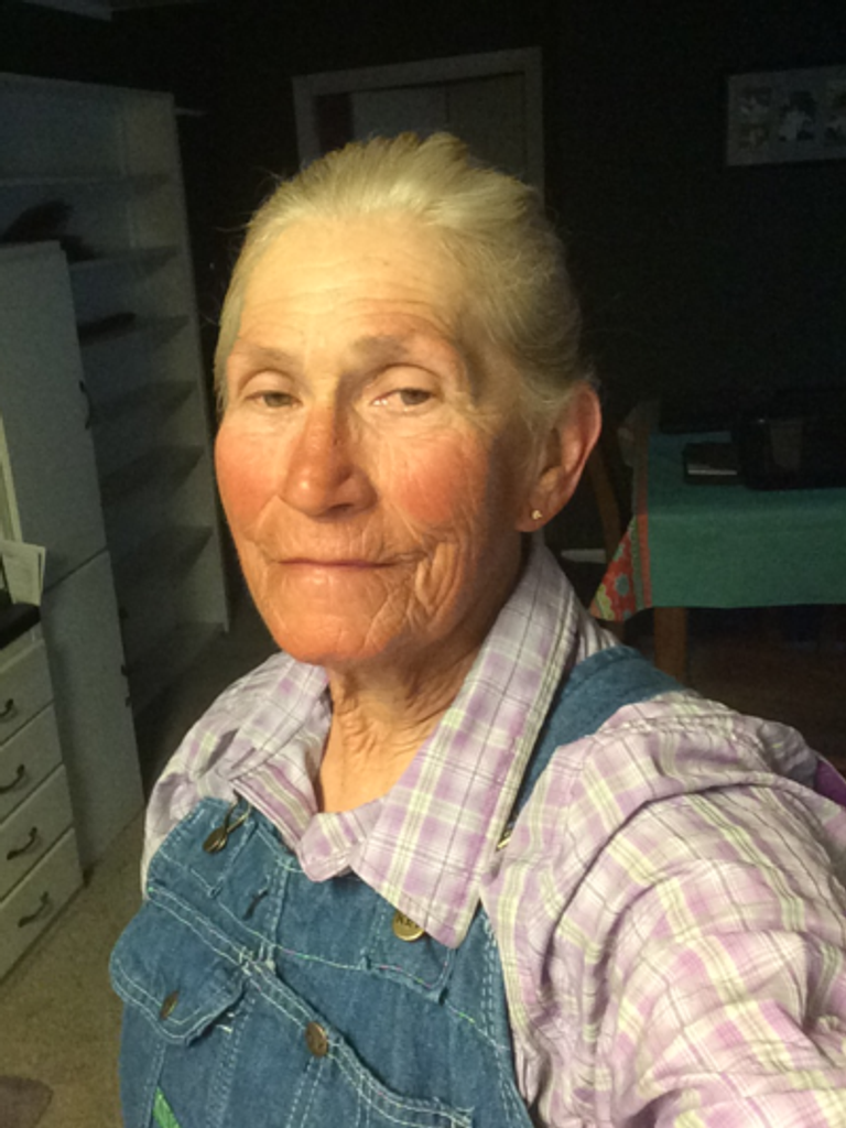 Clarice Ellen Harper