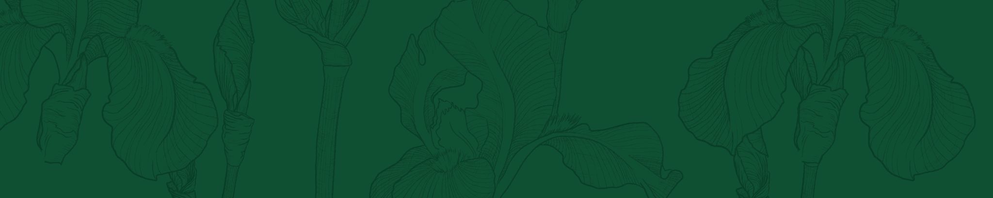 Cover for Elise Ragland Huff's Obituary