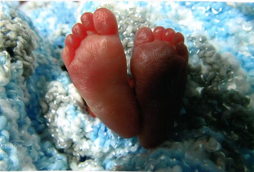 Kayven Reed Perry Profile Photo