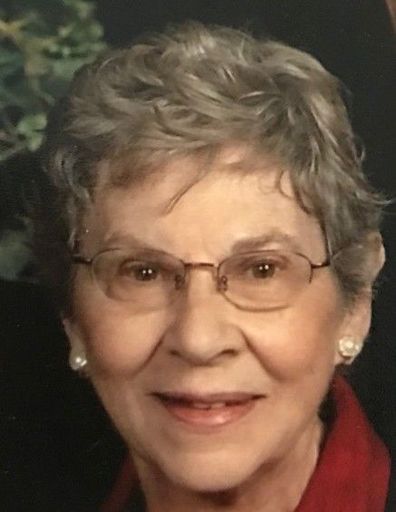 Mussie Eidelman Profile Photo