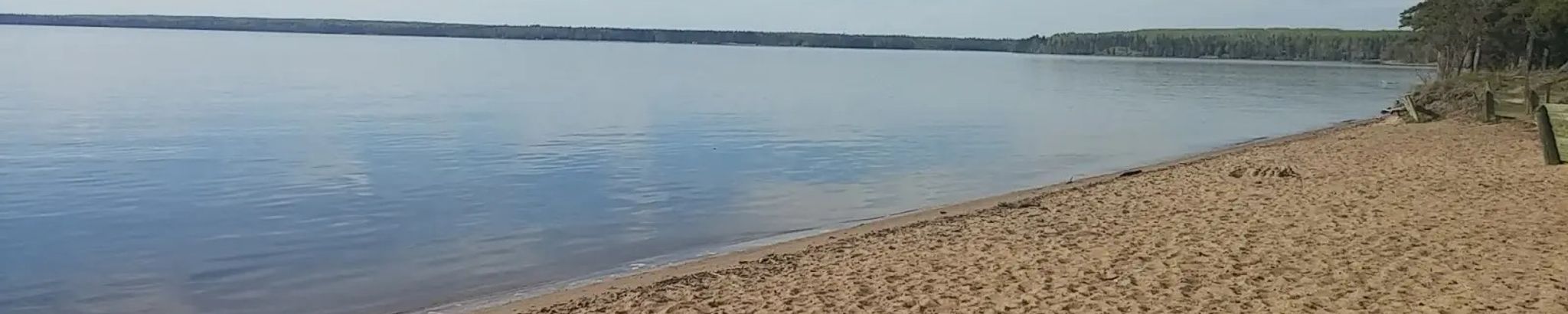 Cover photo for Ronald Bahr's Obituary