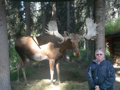 Jimmy D. Johnson photo gallery thumbnail 24 of 118