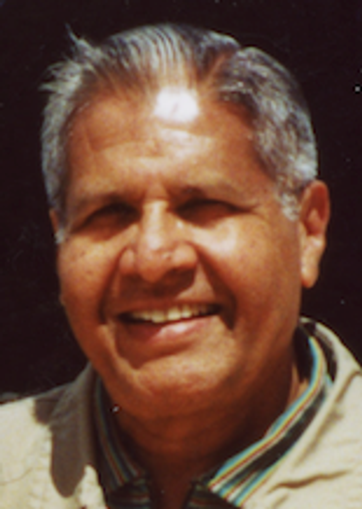 Karan Singh Bapna