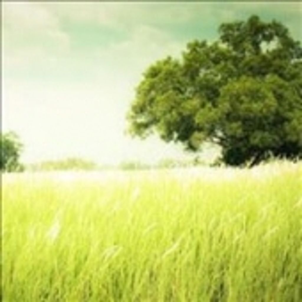 Thomas Lee Mcgauley, Jr