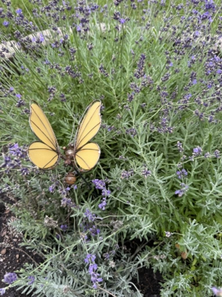 Adeline I. Coady Profile Photo