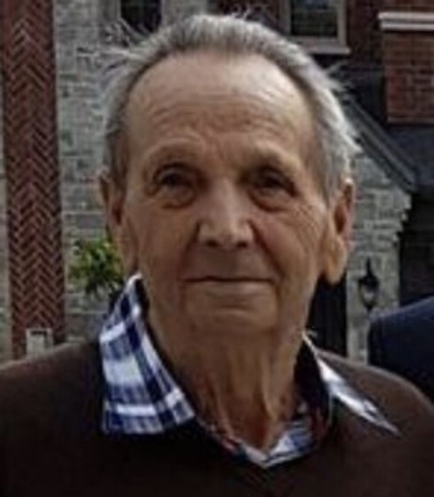 Domenico Bernardi