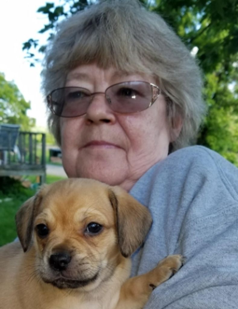 Diane  C. Apker 