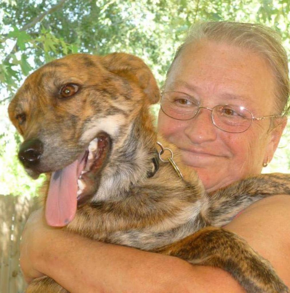 Patti L. Schroeder