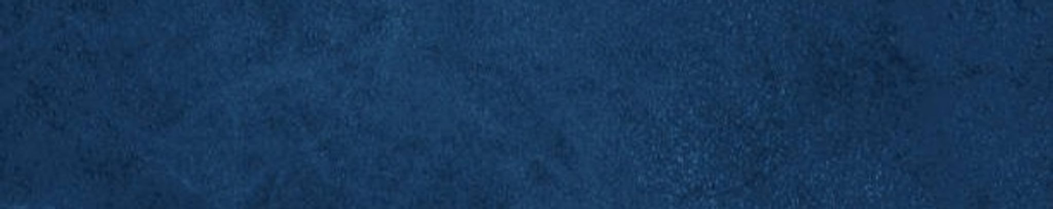 Cover for Willem Sybe de Jong's Obituary