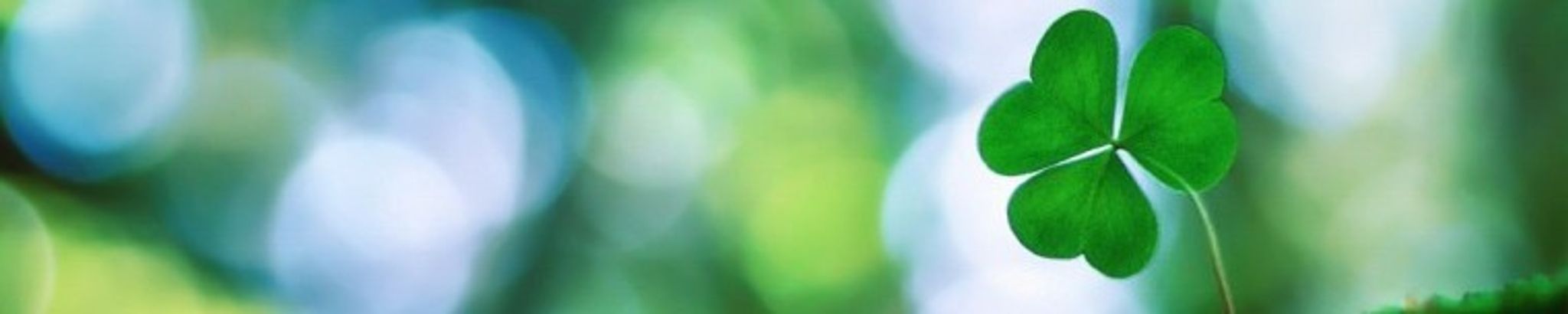 Cover photo for Patricia Bies's Obituary