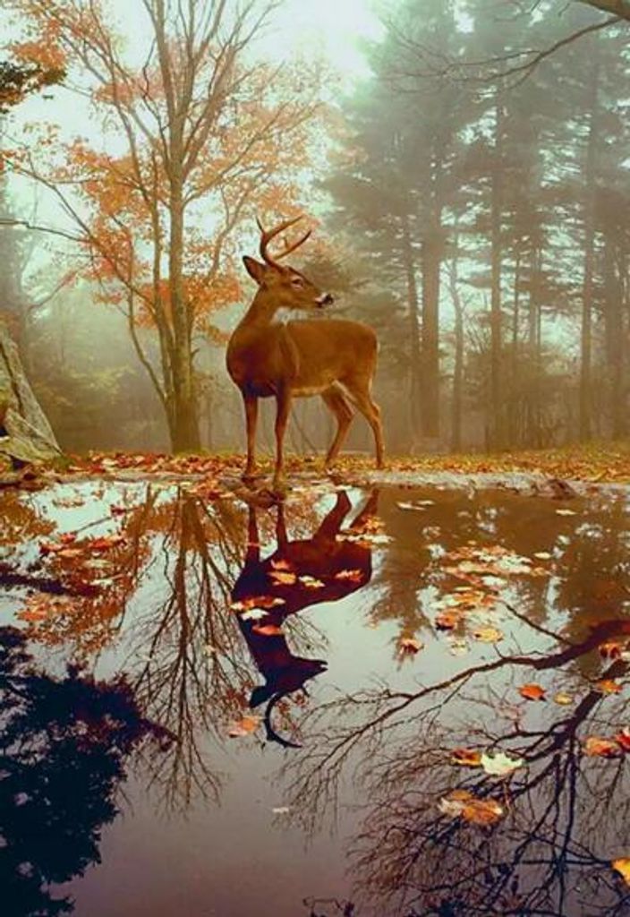 Earl Edward Smith, Jr. Profile Photo