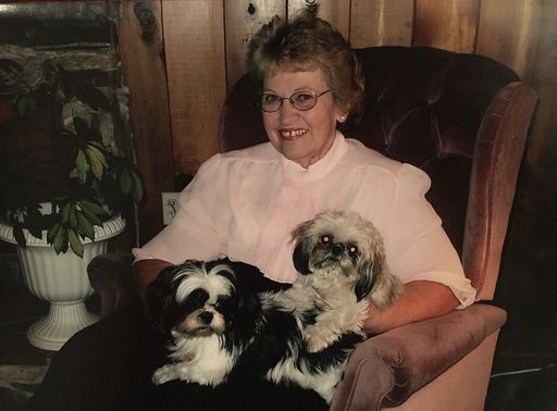 Sarah Ann Winch Profile Photo