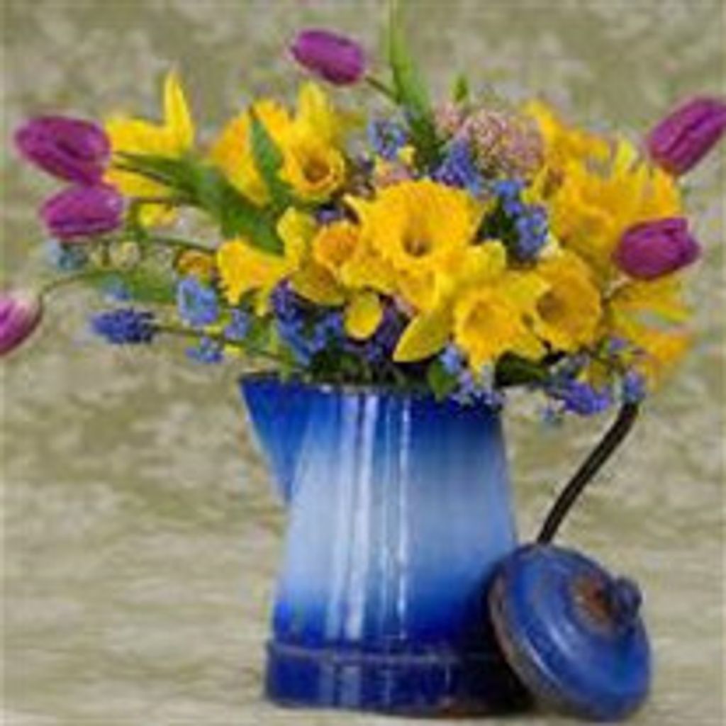 Lucille N. White