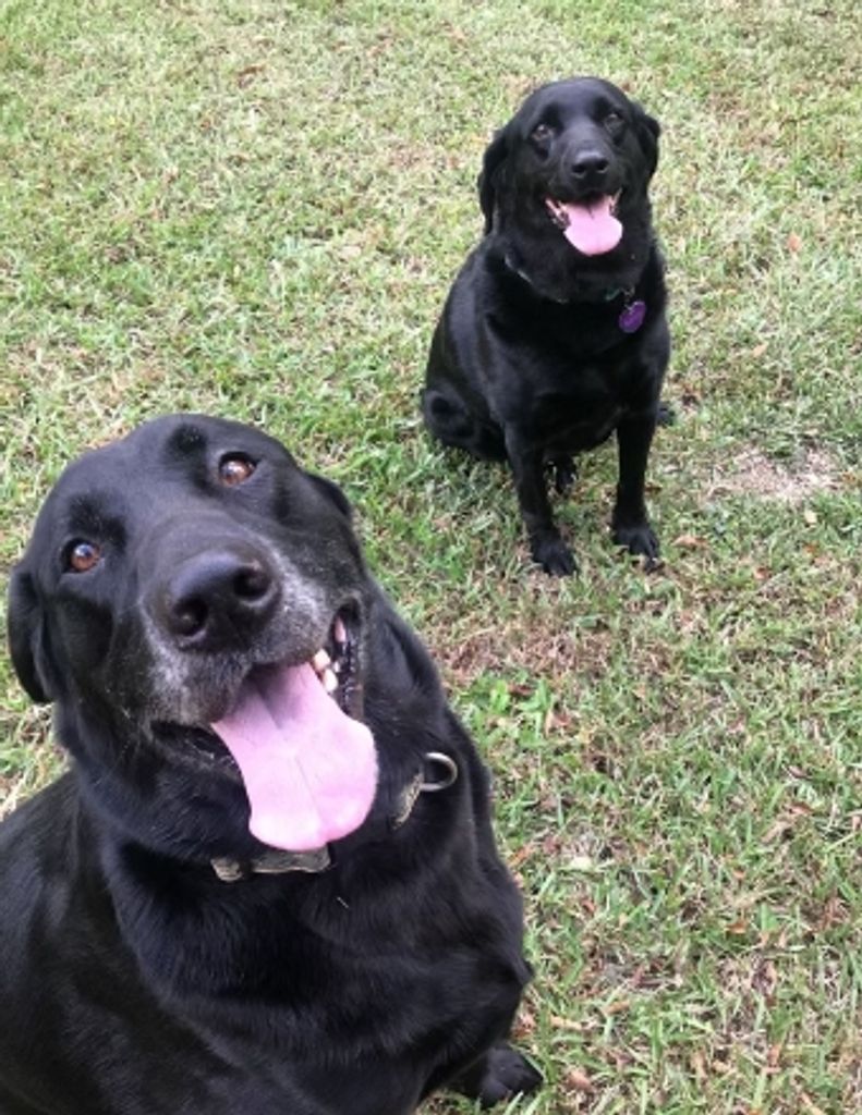 Roxy & Commander Thomas