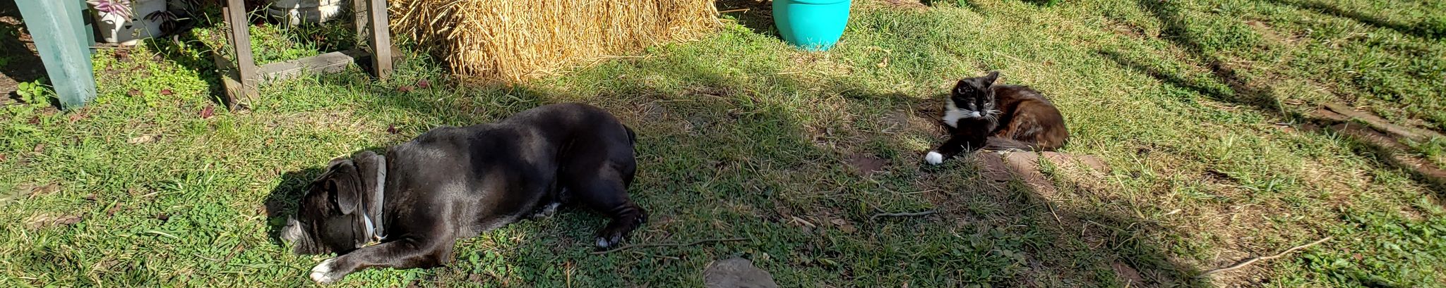 Cover for Cyd's Obituary