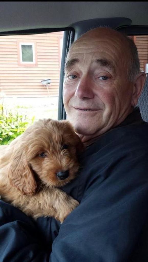 Dennis H. Minkel Profile Photo