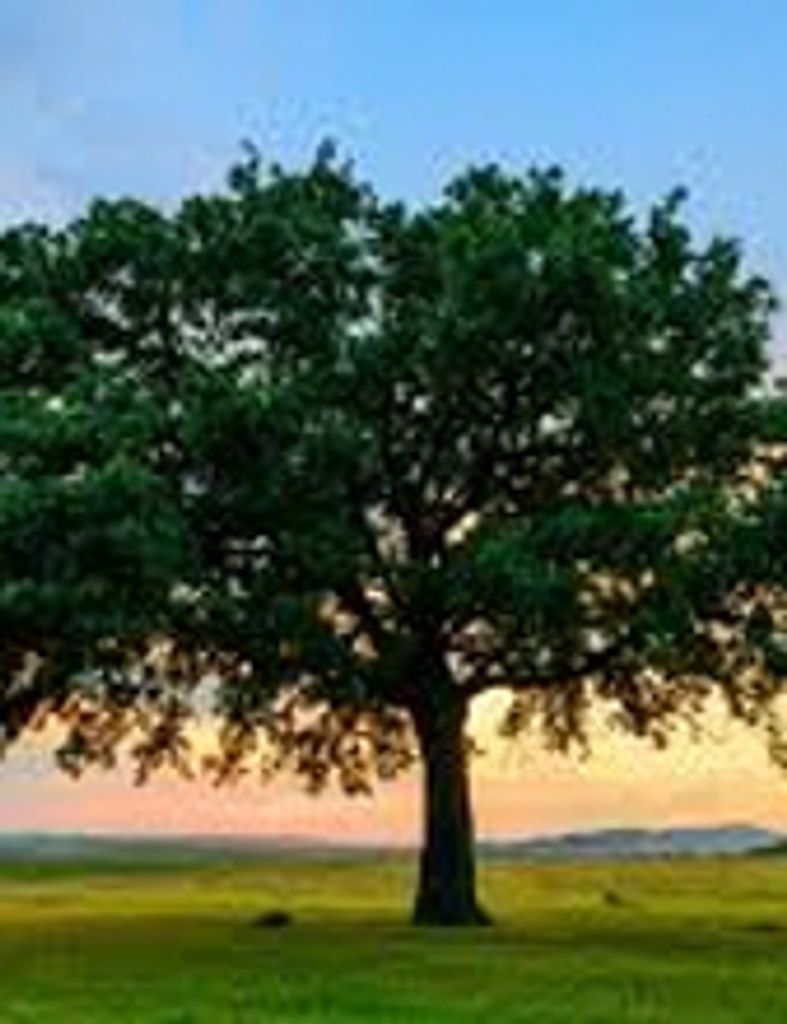 Drew Frederick Hires