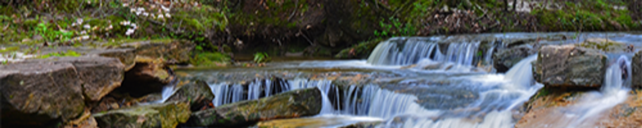Cover photo for Richard E. Foshee, Jr.'s Obituary